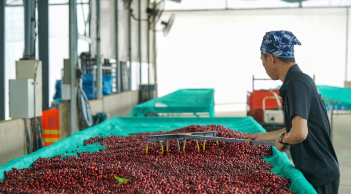 Huabal Coffe Café Orgánico de Especialidad Peruano